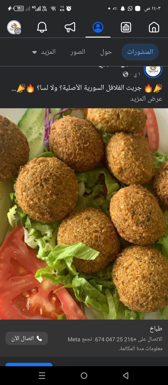 Falafel croustillants.