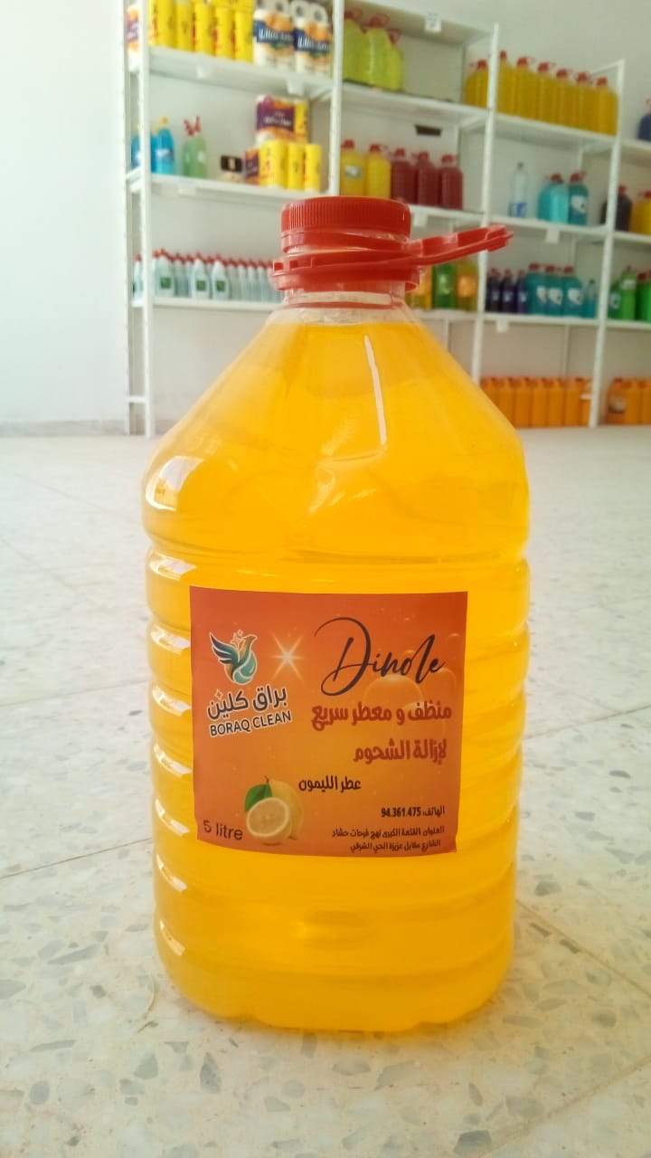 Denol parfum citron 5 litres